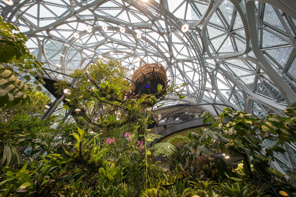 The Spheres, le sfere di vetro immerse nel verde sede di Amazon
