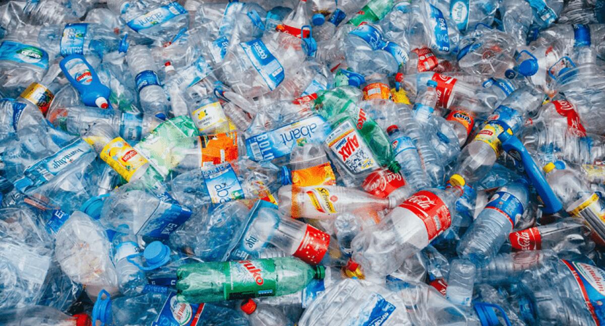 Ecco il super-enzima capace di degradare la plastica in pochi giorni - plastica in mare