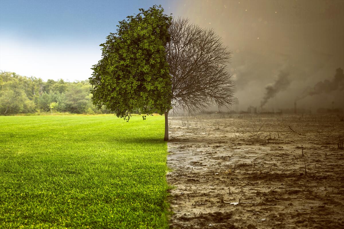 Inquinamento atmosferico, ma quanto ci costi! - pacinimedicina.it
