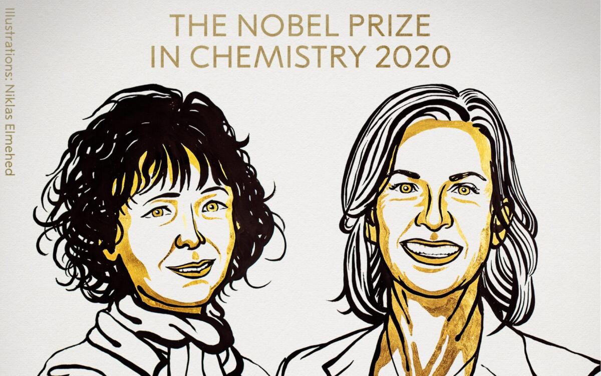 Nobel per la Chimica 2020, il CRISPR-CAS9: editing per riscrivere il DNA - Premi Nobel per la Chimica 2020. 
Credits: Niklas Elmehed