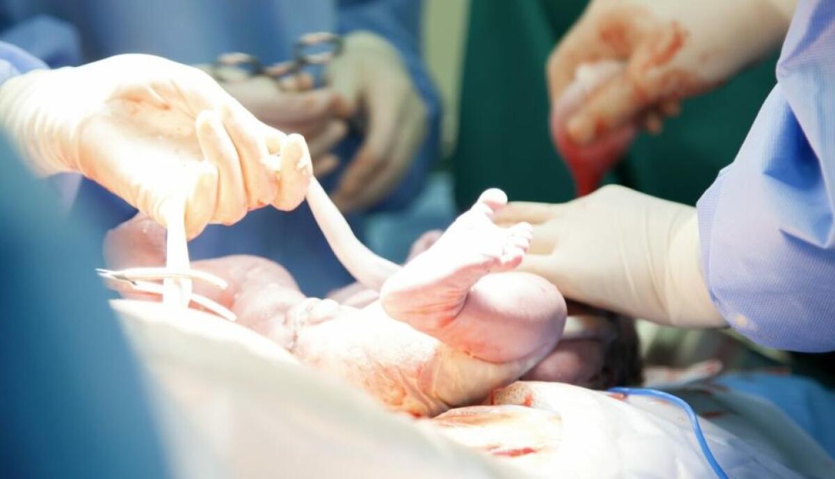 Un cordone ombelicale dalla Sicilia a Budapest per salvare un bimbo dalla leucemia - uppa.it