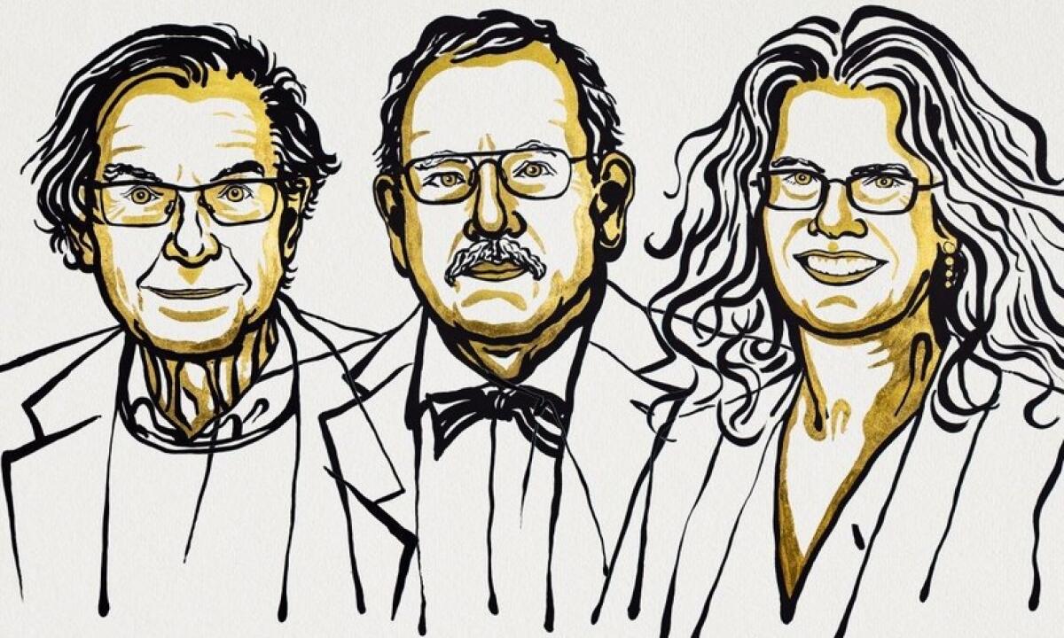 Il premio Nobel per la Fisica 2020 dedicato alle scoperte sui buchi neri - 