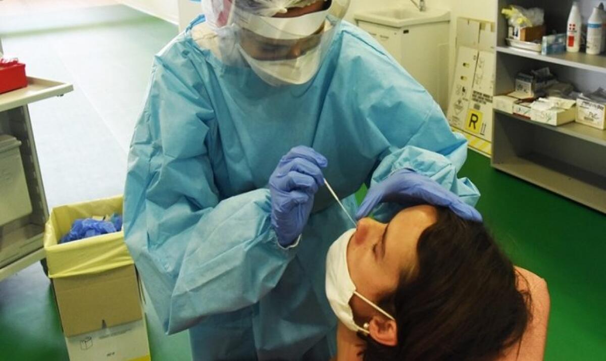 Test antigenico rapido: ora lo fa il medico di base, ma quanto è affidabile? - credits: nursetimes.org