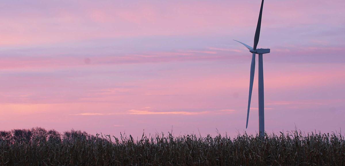 Adobe verso il 100%  rinnovabile con Enel Green Power - enelgreenpower.com