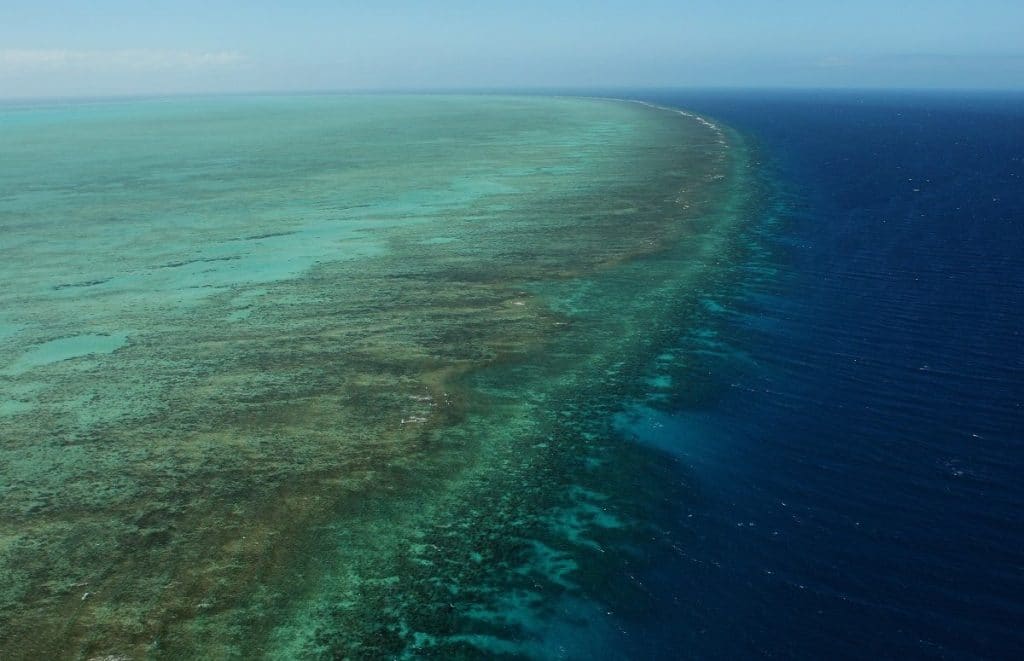 Grande Barriera Corallina australiana, vista aerea. Credits: Phil Walter/Getty Images