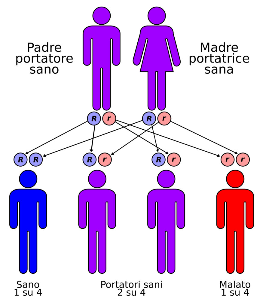 Credits: Wikipedia