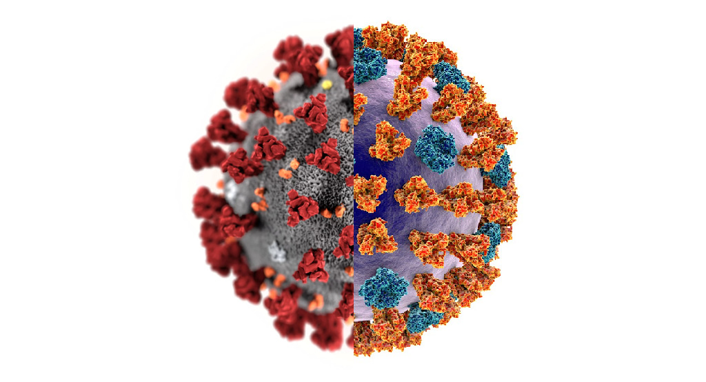 https://sciencecue.it/che-differenza-ce-tra-coronavirus-e-influenza/18337/sciencecue.it