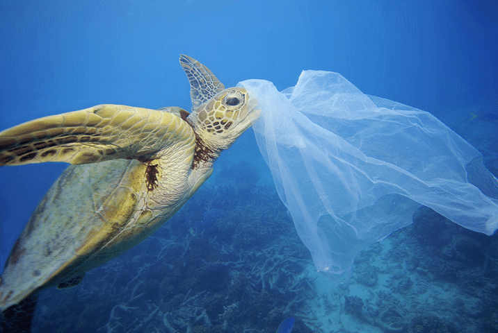 Ecco il super-enzima capace di degradare la plastica in pochi giorni