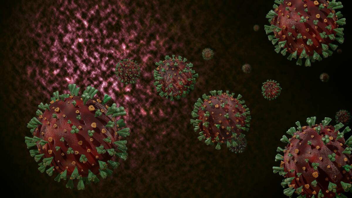 Scoperto un inibitore che potrebbe bloccare la replicazione di SARS-CoV-2 - 