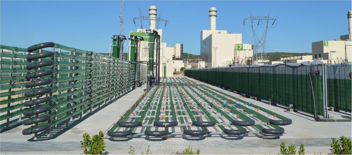 Biofissazione della CO2, energia dalle microalghe - mms.businesswire.com