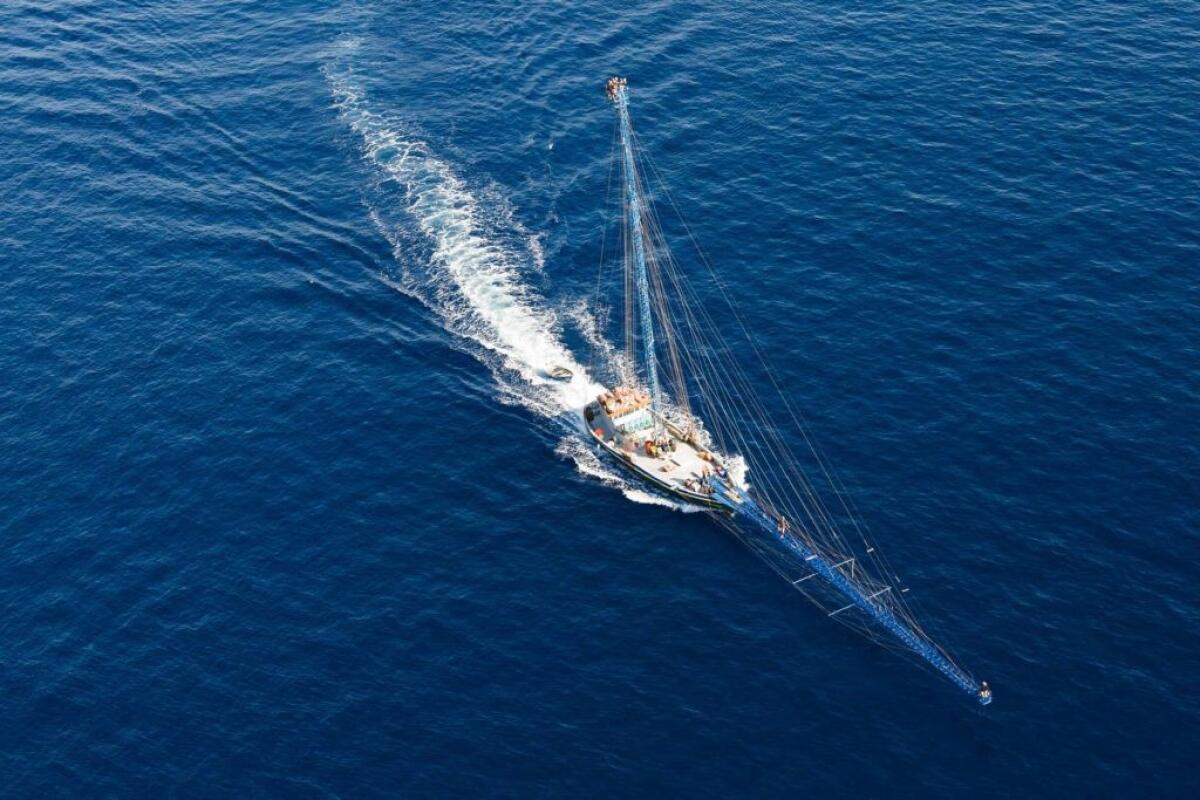La feluca: un’imbarcazione da pesca strategica - 
