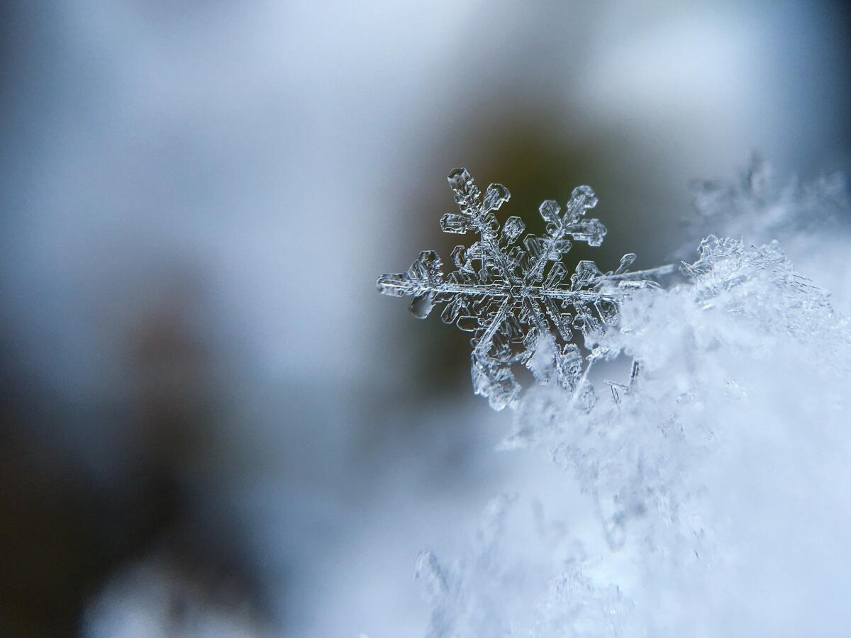 Il freddo è alle porte, ma perché alcuni lo soffrono più degli altri? - Il freddo è alle porte, ma perché alcuni lo soffrono più degli altri?