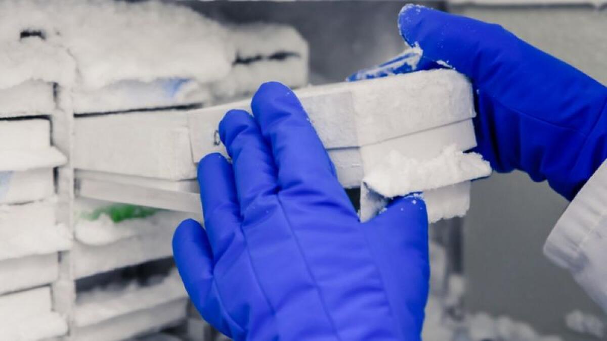 Vaccino Covid-19 Pfizer: il problema del freddo - 