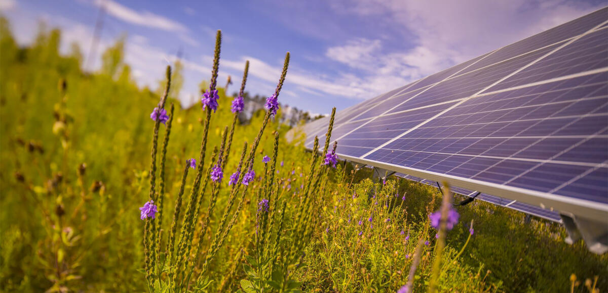 Il parco solare Aurora: energia e tutela dell'ambiente - fonte: enelgreenpower.com