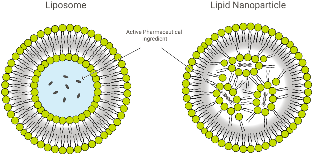 Credits: exeleadbiopharma
