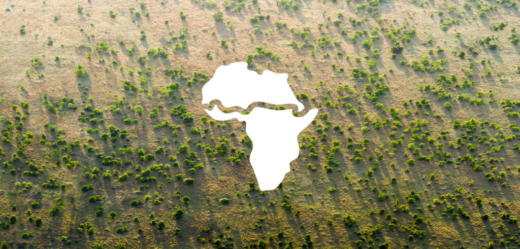 Alberi piantati per la Great Green Wall. PH: ecoinformazioni.com