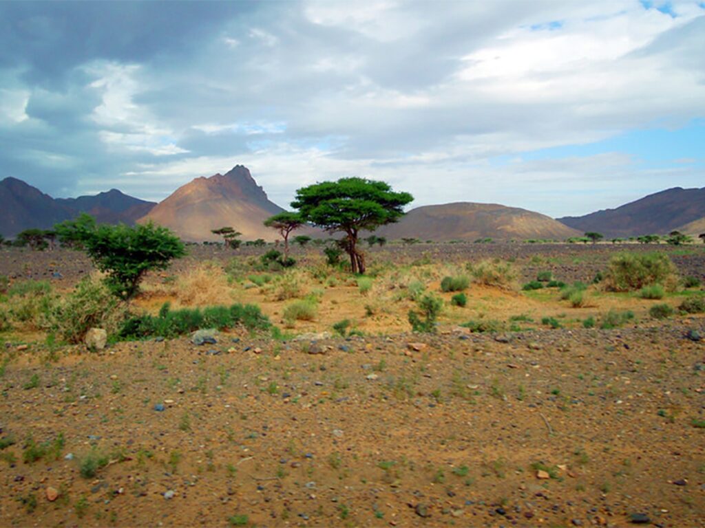 Desertificazione in Africa. PH: lifegate.it