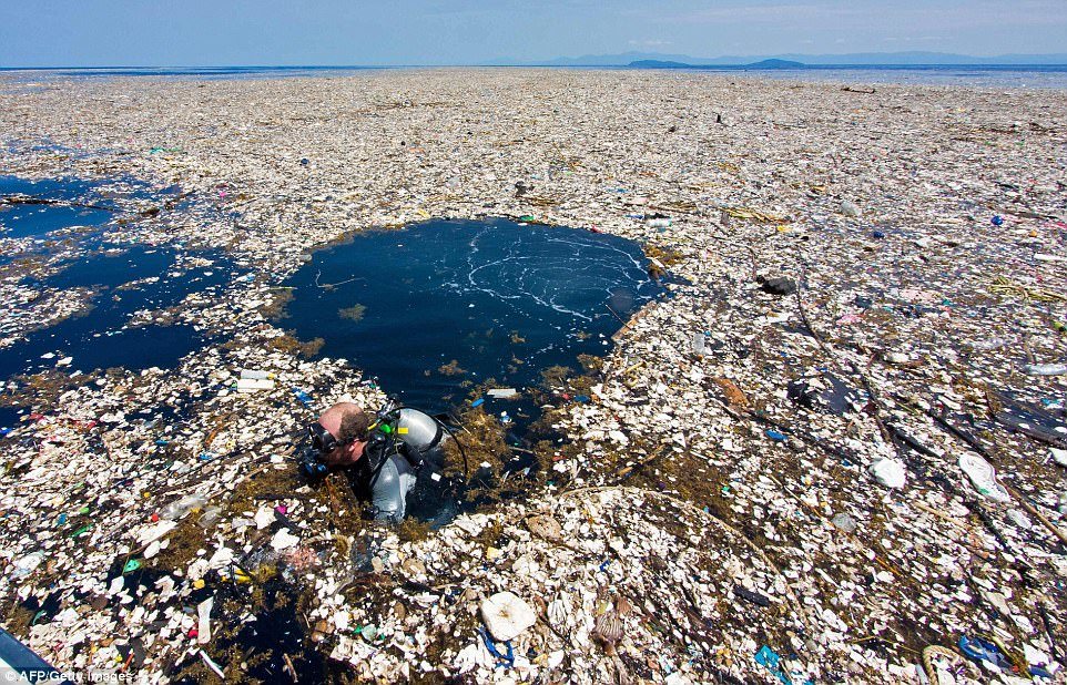 La Great Pacific Garbage Patch, nota anche come Pacific Trash Vortex, è un enorme accumulo di spazzatura galleggiante, soprattutto plastica, situato nell’Oceano Pacifico.Credits: AFP/ Getty Images