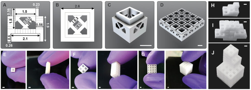 Differenti design degli scaffolds. Credits: Advanced Materials