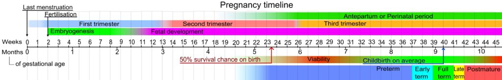 Neonati prematuri: cause e fattori di rischio