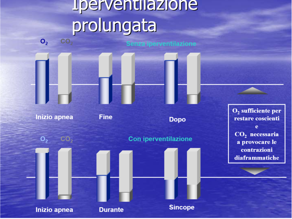 Credits: Gabriela Vinci, docplayer.it