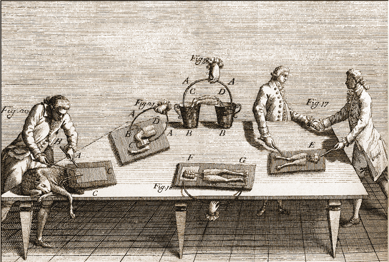 Luigi Galvani, De viribus electricitatis in motu musculari commentarius, 1792. Esperimenti sulle rane.  Credits: AlessandroVolta.it