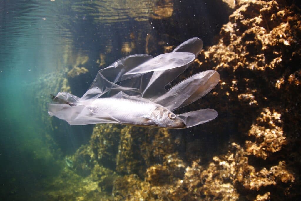 La piaga dell'inquinamento marino da plastica