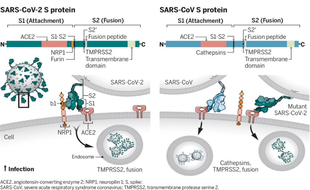 Credits: sciencemag.org