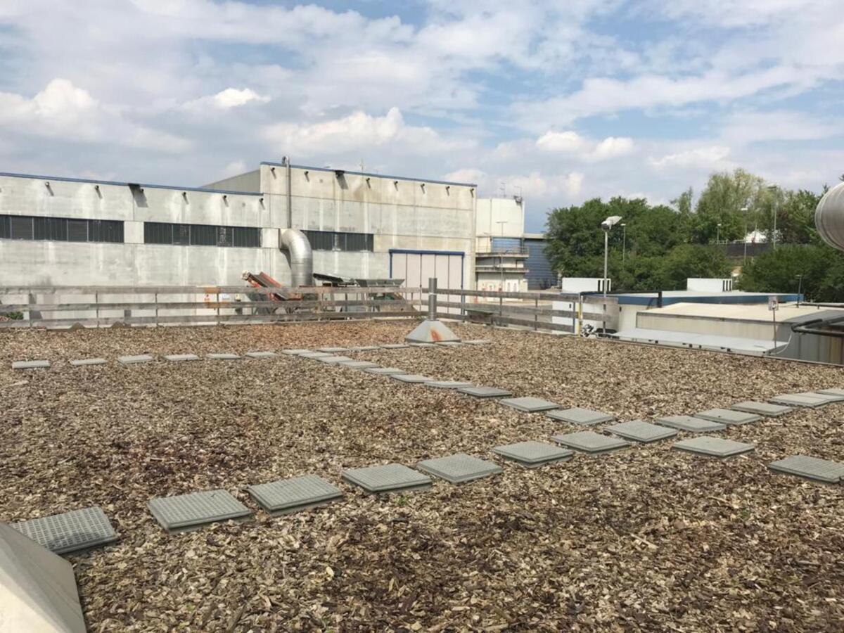 Biofiltrazione: pulire l’aria in modo ecologico ed economico - biofiltrazione.it