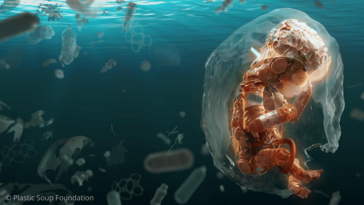 Microplastiche identificate nella placenta umana: lo studio italiano - 