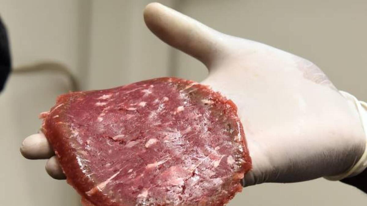 Carne prodotta in laboratorio: il nuovo futuro dell'alimentazione? - quotidiano.net
