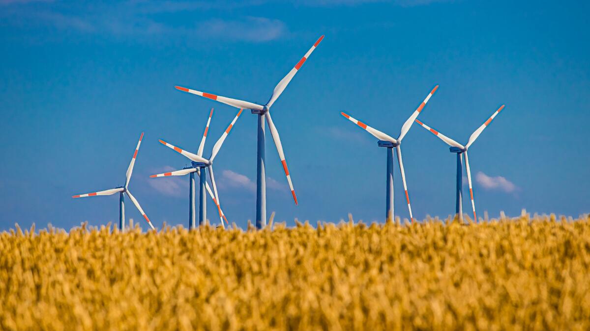 Nel 2020 è aumentata in tutto il mondo la sensibilità nei confronti dell’energia verde - pixabay.com