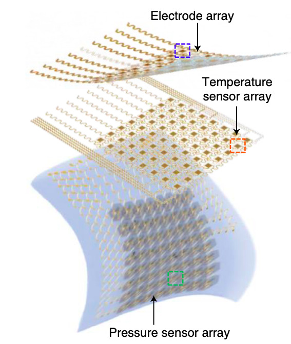 Ph: Nature Biomedical Engineering