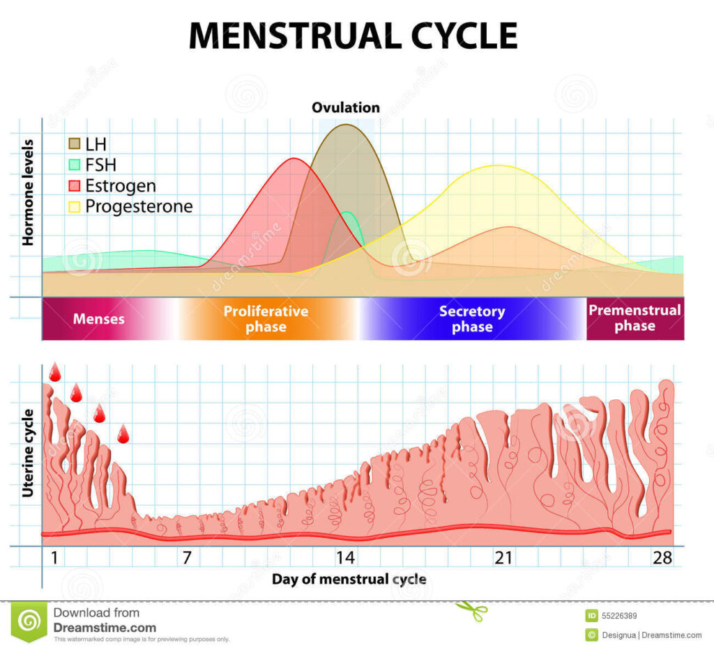 PH: webmd