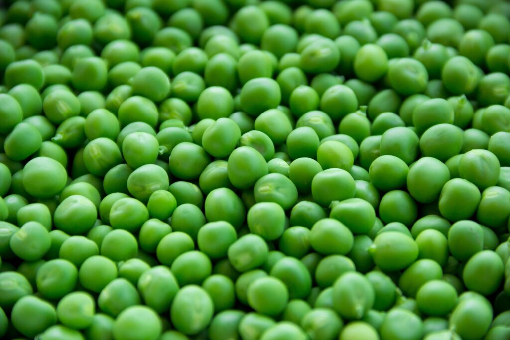 Farinetti apre a Torino Green Pea