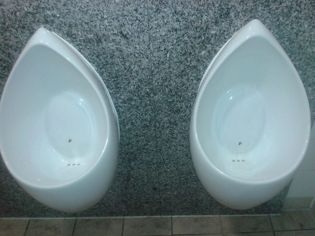Wikimedia Commons - Adesivo di una mosca applicato nei bagni di un ristorante tedesco al fine di migliorare l'igiene pubblica, un chiaro esempio di nudge.
