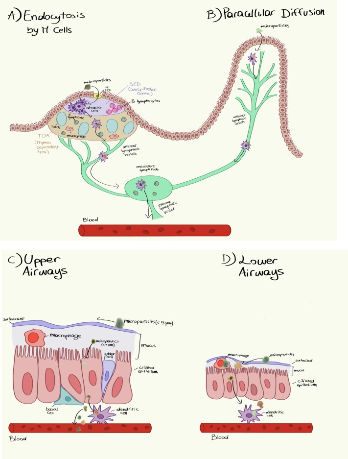 Credits: Sciencedirect.com