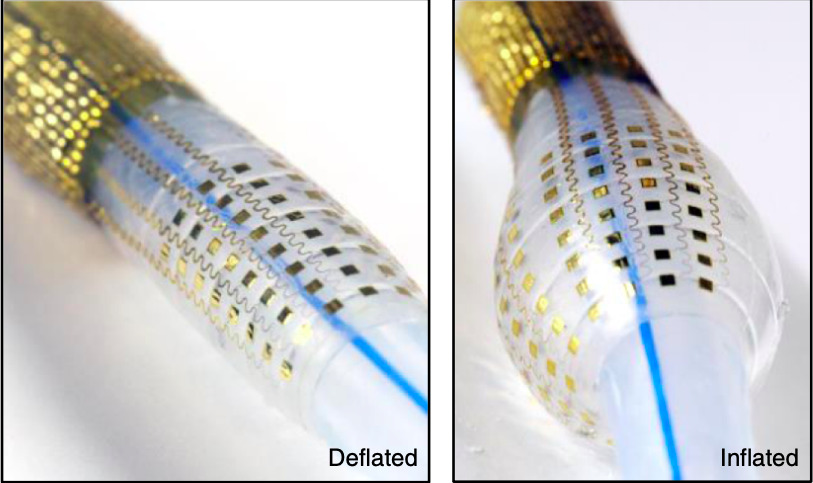 PH: Nature Biomedical Engineering