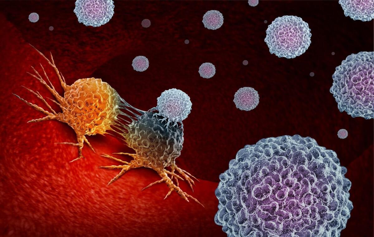 CAR-T e machine learning per la lotta contro il cancro - Credits: Ansa