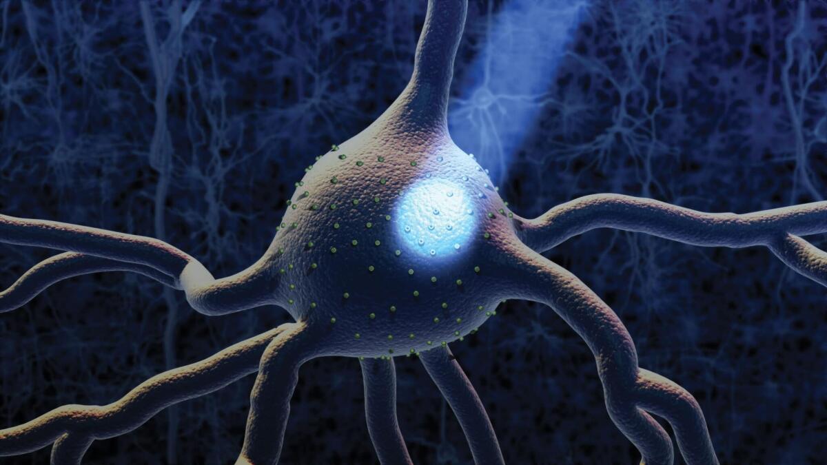 Optogenetica: impianto cerebrale con ricarica wireless, flessibile e sicuro - optogenetica luce neuroni impianto cerebrale wireless