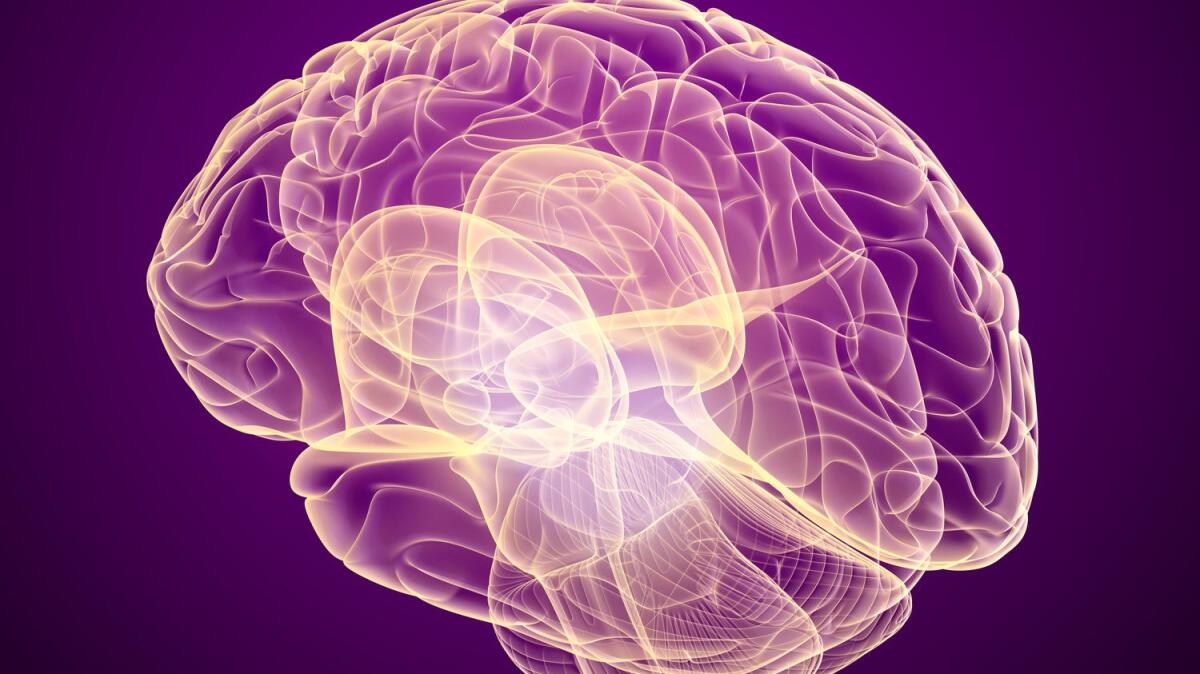 Gamma Knife: radioterapia avanzata per il trattamento di tumori cerebrali - Gamma Knife: radioterapia avanzata per il trattamento di tumori cerebrali