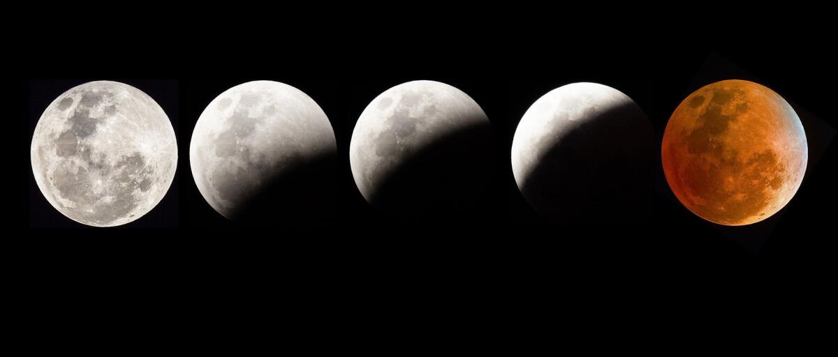 Così il cielo sembrò senza luna nella notte delle superstizioni - Così il cielo sembrò senza luna nella notte delle superstizioni