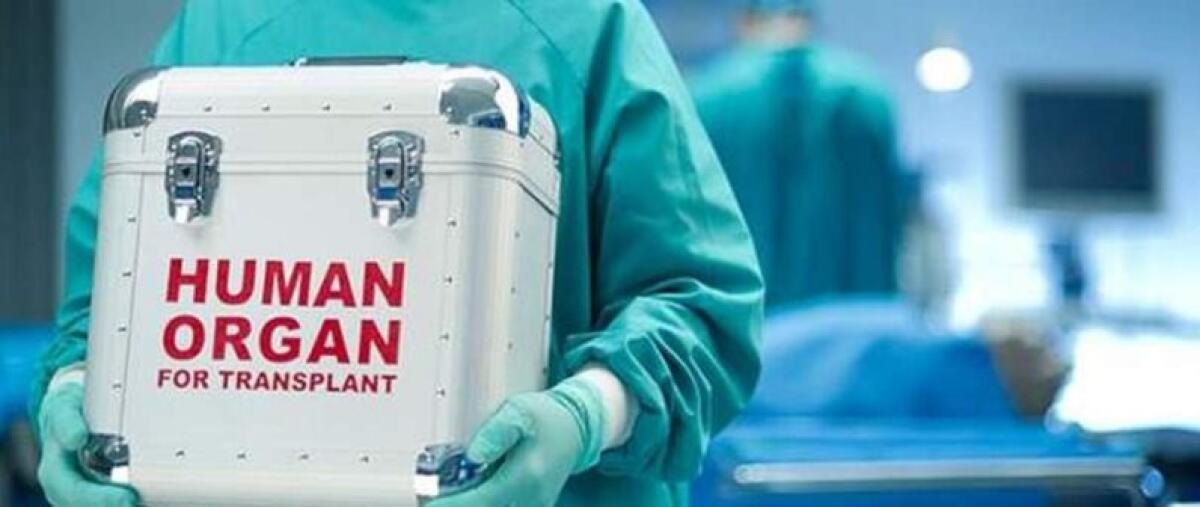Donazione organi a cuore fermo: primo caso al Maggiore di Bologna - 
