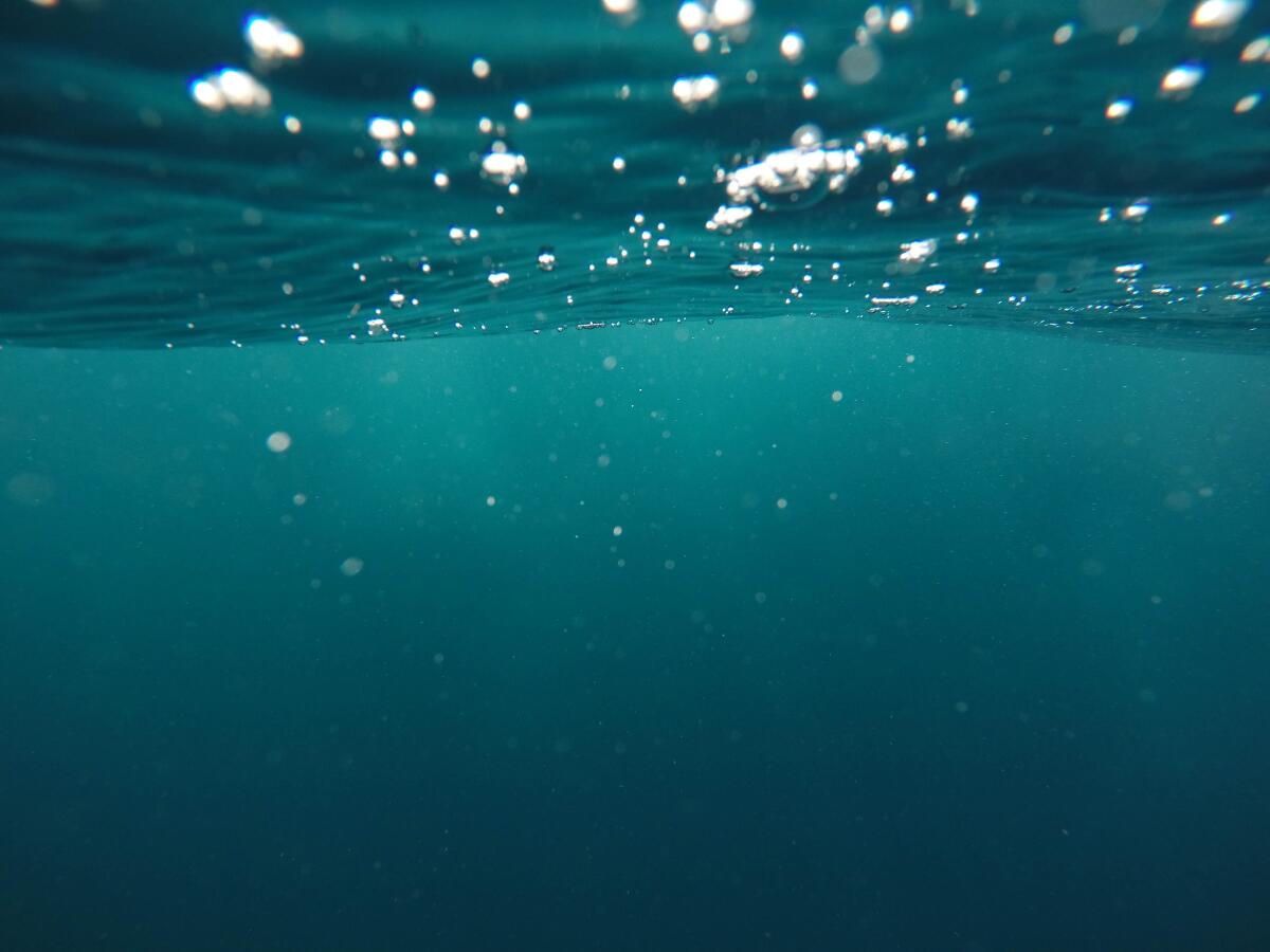 Oceani: record di temperature nel 2020 - unsplash.com