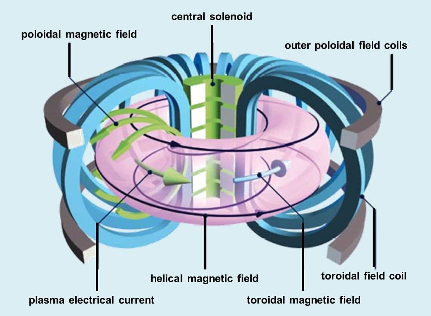 Schematizzazione del TokamakImage credits: EFDA-JET