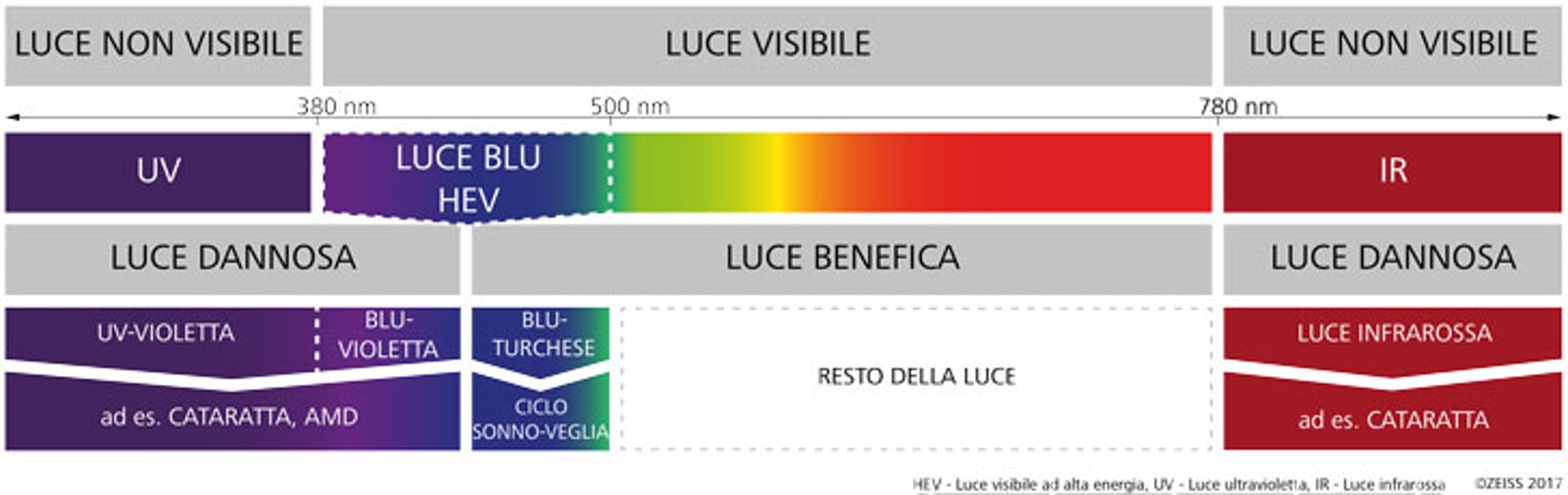Classificazione della luce in base alla lunghezza d'onda.Credits: Zeiss
