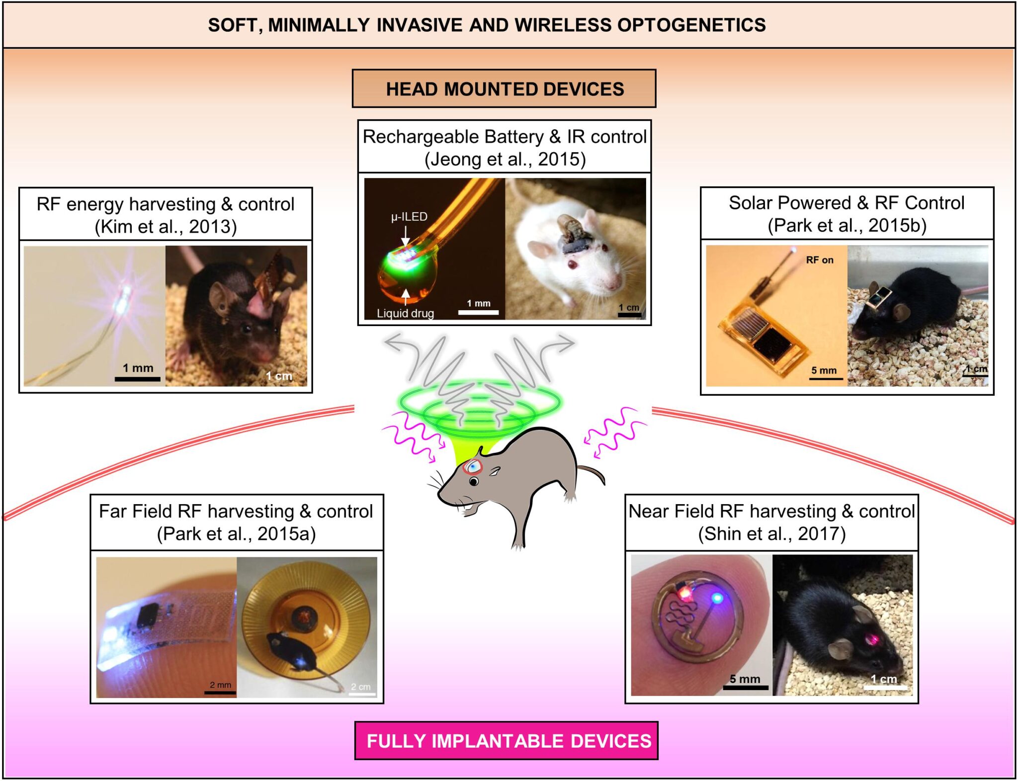 Configurazioni attuali dei dispositivi usati in optogenetica. Credits: Frontiers of Neuroscience