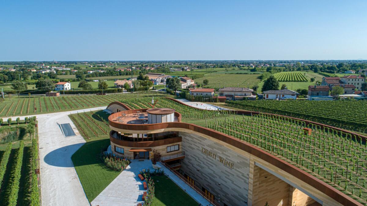 Il tetto vigneto della Cantina Giusti Wine - Ph: giustiwine.com