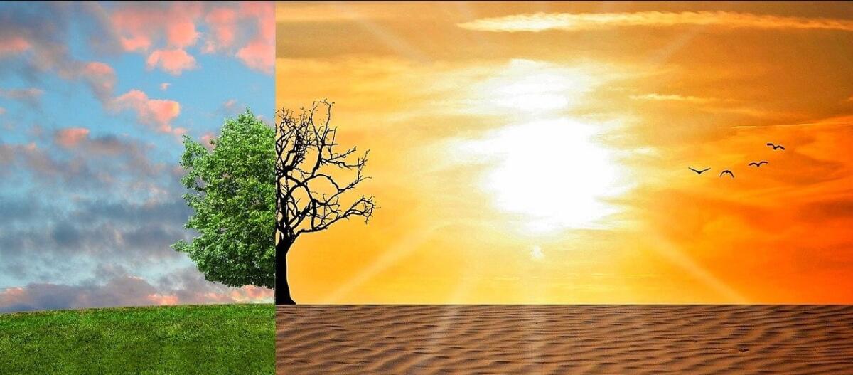Riscaldamento globale: il 2020 è stato il secondo anno più caldo di sempre - Riscaldamento globale: il 2020 è stato il secondo anno più caldo di sempre
