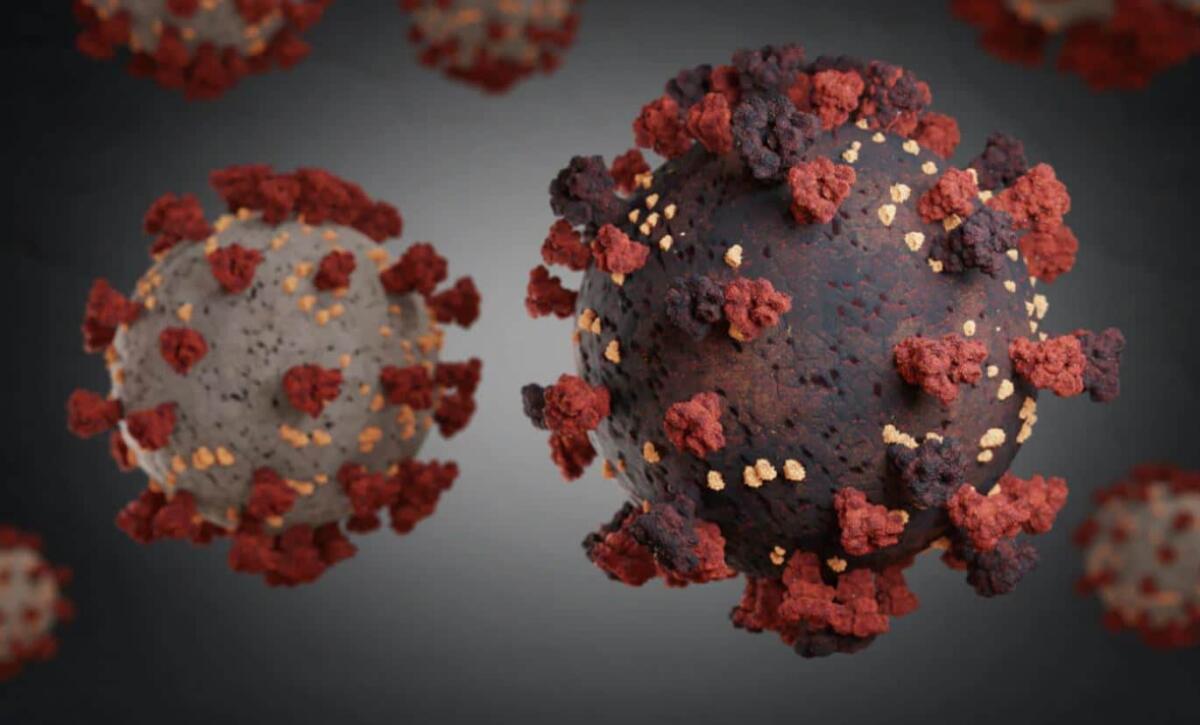 Varianti del Covid: cos'è il sequenziamento, i vaccini sono inefficaci? Perché il virus muta? - Immagine rappresentativa della struttura del virus resppnsabile della sindrome